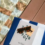 The Social Hub Hotel